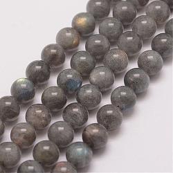 Natural Labradorite Bead Strands, Round, 8mm, Hole: 1mm, about 47pcs/strand, 15.5 inch(G-P259-03-8mm)