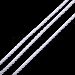 Round Polyester Cord, Twisted Cord, for Moving, Camping, Outdoor Adventure, Mountain Climbing, Gardening, White, 3mm(NWIR-A010-01K)