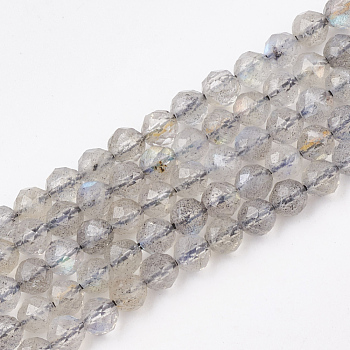Natural Labradorite Beads Strands, Faceted, Round, 3.5mm, Hole: 0.6mm, about 113pcs/strand, 15.7 inch