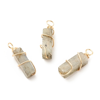 Natural Labradorite Pendants, with Golden Tone Copper Wire Wrapped, Cuboid, 19~20x6x6mm, Hole: 2.5~3mm
