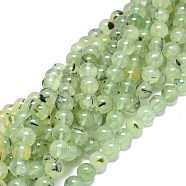 Natural Prehnite Beads Strands, Round, 10~10.5mm, Hole: 1mm, about 39pcs/strand, 15.55 inch(39.5cm)(G-O201A-06C)