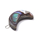 Natural Abalone Shell/Paua Shell Pendants(PALLOY-JF02701-02)-4