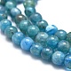 Natural Apatite Beads Strands(G-K305-26-C)-3