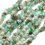 Natural Chrysoprase Beads Strands, Chip, 5.5~14x5~7x2~5mm, Hole: 1mm, 31.50''(80cm)(G-G0004-D01-A-01)