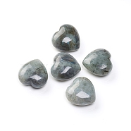 Natural Labradorite Heart Love Palm Worry Stone, Healing Crystal, 30x30x15mm(G-I274-46E)