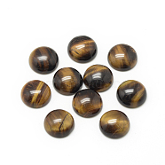 Natural Tiger Eye Cabochons, Half Round/Dome, 12x5mm(G-R416-12mm-35)