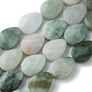 Natural Myanmar Jadeite Beads Strands, Faceted, Teardrop, 18~18.5x13~13.5x5.5~6mm, Hole: 1mm, about 22pcs/strand, 15.75''(40cm)(G-A092-B01-03)