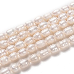 Natural Cultured Freshwater Pearl Beads Strands, Rice, Bisque, 7~11x6~7mm, Hole: 0.8mm, about 41pcs/strand, 14.96 inch(38cm)(PEAR-L033-73-01)