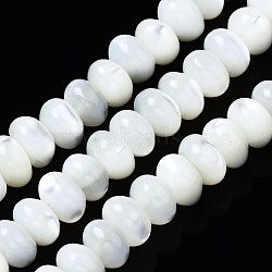 Natural Trochid Shell/Trochus Shell Beads Strands, Rondelle, Bleach, Seashell Color, 6x4mm, Hole: 0.8mm, about 107~110pcs/strand, 15.75 inch(40cm)(SSHEL-S266-017A)