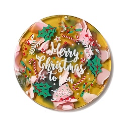 Transparent Christmas Themed Cellulose Acetate(Resin) Pendants, Flat Round Charms, Holly Leaves, 44x3mm, Hole: 1.8mm(OACR-L018-03B)