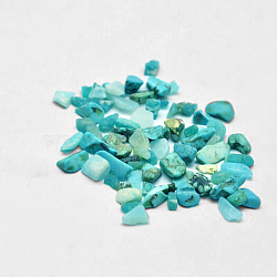 Synthetic Turquoise Chip Beads, No Hole/Undrilled, 2~8x2~4mm, about 340pcs/20g(X-G-O103-04)