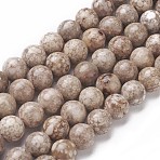Natural Fossil Coral Beads Strands, Round, 10~10.5mm, Hole: 1mm, about 38pcs/strand, 14.9 inch(38cm)(G-F563-02-10mm)