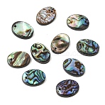 Natural Paua Shell Geometric Charms, Colorful, Oval, 14.5x10.5x3.5mm, Hole: 1.5mm(SHEL-A006-12B)