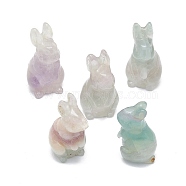 Natural Fluorite Sculpture Display Decorations, for Home Office Desk, Rabbit, 17~19x17~18.5x32~37mm(G-F719-36E)