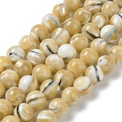 Natural Trochus Shell Beads Strands, Round, Goldenrod, 10~10.5mm, Hole: 0.8mm, about 38~39pcs/strand, 15.16''~15.55''(38.5~39.5cm)(BSHE-P033-03C)
