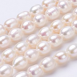 Natural Cultured Freshwater Pearl Beads Strands, Rice, Linen, 6~7x5~6mm, Hole: 0.5mm, about 47pcs/strand, 13.39 inch(PEAR-P002-24)
