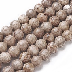 Natural Fossil Coral Beads Strands, Round, 10~10.5mm, Hole: 1mm, about 38pcs/strand, 14.9 inch(38cm)(G-F563-02-10mm)