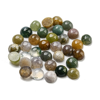 Natural Indian Agate Cabochons, Half Round, 4x2~2.5mm