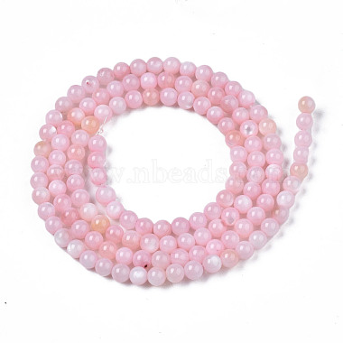 Natural Freshwater Shell Beads Strands(X-BSHE-T009A-01C)-2