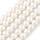 Chapelets de perles en coquille(X-BSHE-L026-03-6mm)-2