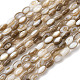 Natural Freshwater Shell Beads Strands(SHEL-K006-78B)-1