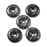 Natural Larvikite Pendants, Donut/Pi Disc Charms, 50x6.5~7.5mm, Hole: 10mm(G-P532-01A-21)