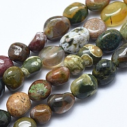 Natural Ocean Jasper Beads Strands, Nuggets, Tumbled Stone, 8~12x7~10x4~8mm, Hole: 0.8mm, about 40~42pcs/strand, 15.7 inch(40cm)(G-E483-39B)