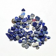 Natural Lapis Lazuli Chip Beads, Tumbled Stone, No Hole, 3~5x2~4mm, about 4300pcs/500g(G-O103-21)