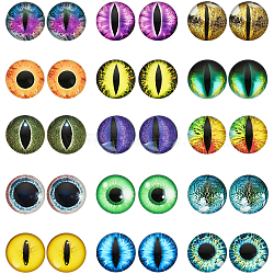 30Pcs 15 Style Luminous Glass Cabochons, Half Round with Eye, Mixed Color, 20x6mm, 2pcs/style(DIY-CA0004-97)