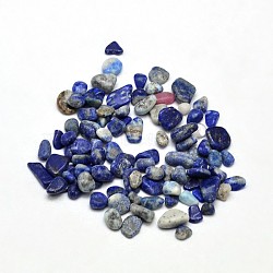 Natural Lapis Lazuli Chip Beads, No Hole, 3~5x2~4mm, about 4300pcs/500g(G-O103-21)