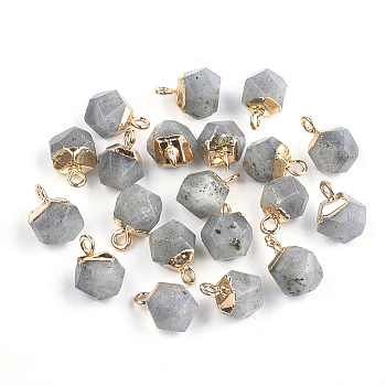 Electroplate Natural Labradorite Star Cut Round Charms, with Iron Findings, Faceted, Golden, 11~12x8x8mm, Hole: 1.5mm