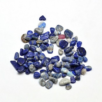 Natural Lapis Lazuli Chip Beads, Tumbled Stone, No Hole, 3~5x2~4mm, about 4300pcs/500g