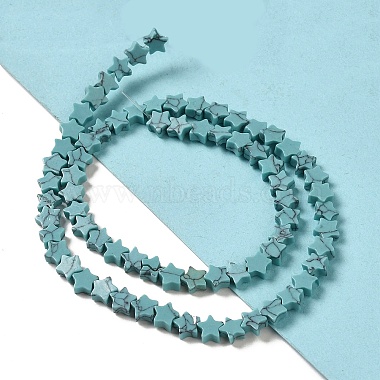 Dyed Synthetic Turquoise Beads Strands(G-G085-B32-02)-2