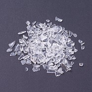 Natural Crystal Beads, No Hole/Undrilled, Chips, 6~12x4~6mm, about 50g/bag(G-J370-08)
