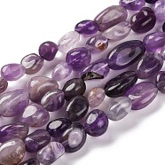 Natural Amethyst Beads Strands, Nuggets, Tumbled Stone, 7~12x6~8x5~7mm, Hole: 1mm, about 43~44pcs/strand, 15.47~15.63''(39.3~39.7cm)(G-G146-A09-01)