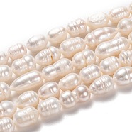 Natural Cultured Freshwater Pearl Beads Strands, Rice, Bisque, 8~23x8~9mm, Hole: 0.8mm, about 31pcs/strand, 13.58 inch(34.5cm)(PEAR-L033-80-01)