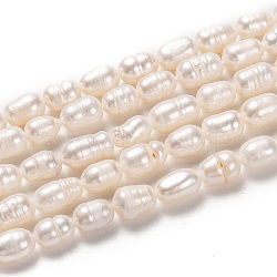 Natural Cultured Freshwater Pearl Beads Strands, Rice, Bisque, 7~9x6mm, Hole: 0.8mm, about 39pcs/strand, 13.39 inch(34cm)(PEAR-L033-68-01)
