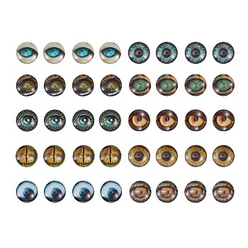 Glass Cabochons, Half Round/Dome with Animal Eye Pattern, Mixed Color, 24.9x6.3mm, 10 colors, 4pcs/color, 40pcs/box