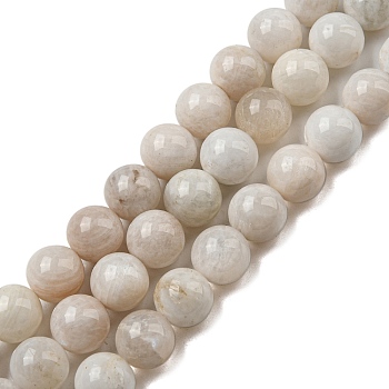 Natural Rainbow Moonstone Beads Strands, Grade AB, Round, 10mm, Hole: 0.8mm, about 39pcs/strand, 15.35 inch(39cm)