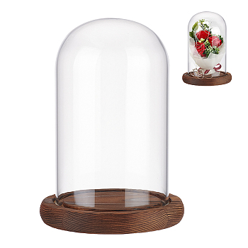 Glass Dome Cover, Decorative Display Case, Cloche Bell Jar Terrarium with Wood Base, for DIY Preserved Flower Gift, Coconut Brown, Finished Product: 113x163mm