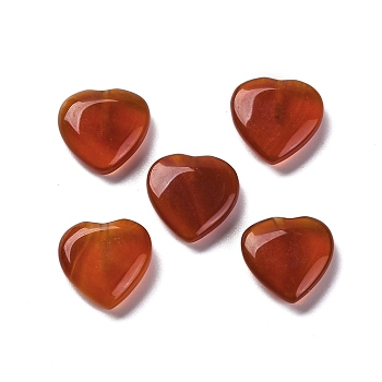 Natural Red Agate Beads, Dyed & Heated, Half Drilled, Heart, 12x12x3.5~4.5mm, Hole: 1mm