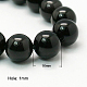 Natural Obsidian Beads Strands(G-G099-16mm-24)-1