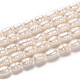 Natural Cultured Freshwater Pearl Beads Strands(PEAR-L033-68-01)-1