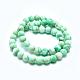 Natural Howlite Bead Strands(G-I224-04A-8mm)-3