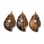 Natural Tiger Eye Carved Pendants, Conch Shape Charms with Brass Micro Pave Clear Cubic Zirconia Findings, Golden, 30~32x16~17x7~9mm, Hole: 3mm(G-H357-05G-04)