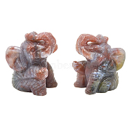 Natural Agate Carved Healing Elephant Figurines, Reiki Stones Statues for Energy Balancing Meditation Therapy, Random Color, 35x40x50mm(ELEP-PW0001-55E)