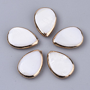 Edge Golden Plated Freshwater Shell Beads, for DIY Craft Jewelry Making, teardrop, Seashell Color, 18x13x4mm, Hole: 0.8mm(X-SHEL-S276-46)