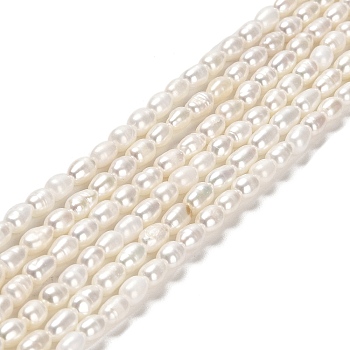 Natural Cultured Freshwater Pearl Beads Strands, Rice, Grade 4A, Old Rose, 5~5.5x3~3.5mm, Hole: 0.5mm, about 67~69pcs/strand, 14.17''(36cm)