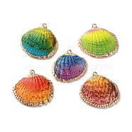 Sea Shell Pendants, Shell Shape Charms, with Brass Covered Edge, Spray Painted, Mixed Color, 20~28x24~31x6~8mm, Hole: 1.2~1.4mm(SSHEL-B002-07G-02)