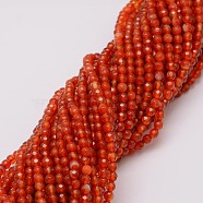 Natural Agate Bead Strands, Dyed, Faceted, Round, Brown, 4mm, Hole: 0.8mm, about 90~92pcs/strand, 14 inch(X-G-G882-4mm-A03-4)